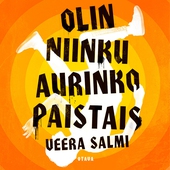 Olin niinku aurinko paistais