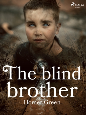 The Blind Brother (e-bok) av Homer Green
