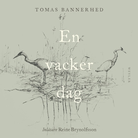 En vacker dag (ljudbok) av Tomas Bannerhed