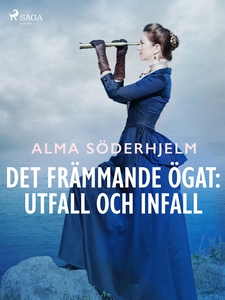 Det främmande ögat: utfall och infall (e-bok) a