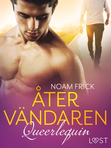 Queerlequin: Återvändaren (e-bok) av Noam Frick