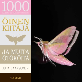 Öinen kiitäjä ja muita ötököitä (ljudbok) av Ju