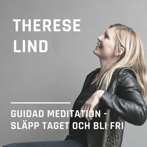 Släpp taget och bli fri (ljudbok) av Therese Li