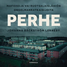Perhe (ljudbok) av Johanna Bäckström Lerneby