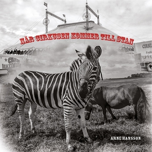 När cirkusen kommer till stan (e-bok) av Arne H
