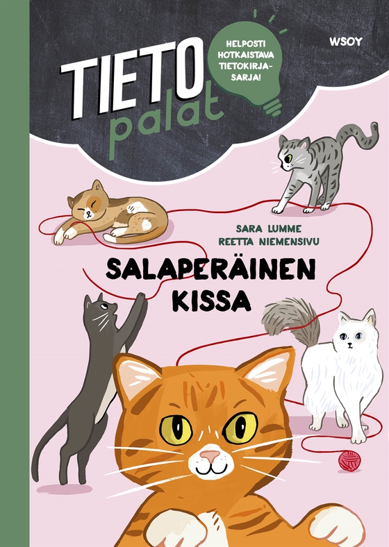 Tietopalat: Salaperäinen kissa
