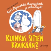 Kuinkas sitten kävikään?