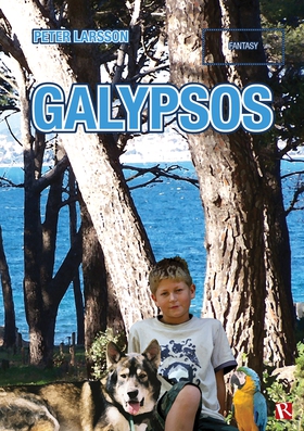Galypsos (e-bok) av Peter Larsson