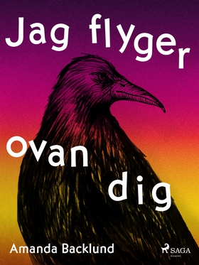 Jag flyger ovan dig (e-bok) av Amanda Backlund