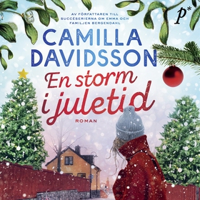 En storm i juletid (ljudbok) av Camilla Davidss