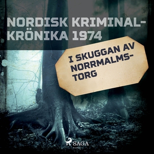 I skuggan av Norrmalmstorg (ljudbok) av Diverse