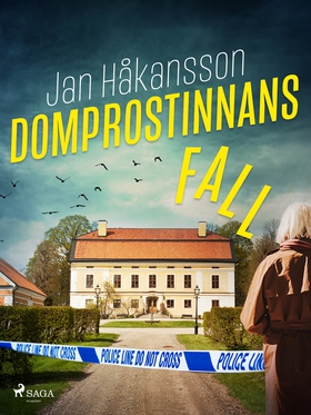 Domprostinnans fall (e-bok) av Jan Håkansson