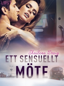 Ett sensuellt möte - erotisk novell (e-bok) av