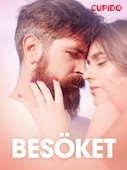 Besöket – erotisk novell