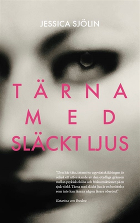 Tärna med släckt ljus (e-bok) av Jessica Sjölin
