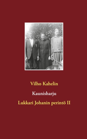 Kaunisharju: Lukkari Johanin perintö II (e-bok)