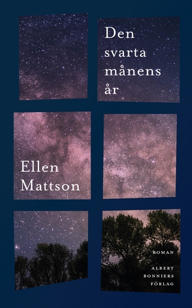 Den svarta månens år (e-bok) av Ellen Mattson