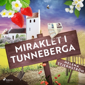 Miraklet i Tunneberga (ljudbok) av Helena Stjer