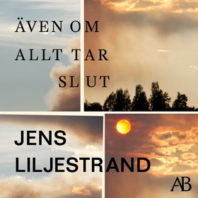 Även om allt tar slut (ljudbok) av Jens Liljest
