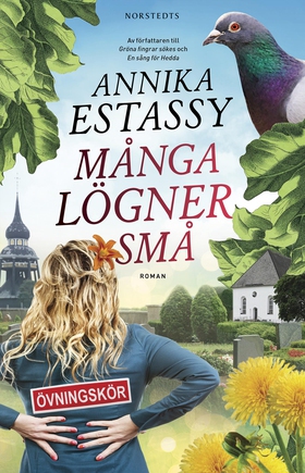 Många lögner små (e-bok) av Annika Estassy
