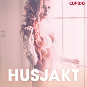 Husjakt - erotiska noveller (ljudbok) av Cupido