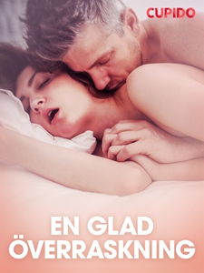 En glad överraskning - erotiska noveller (e-bok