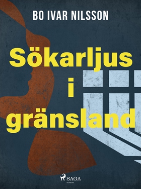 Sökarljus i gränsland (e-bok) av Bo Ivar Nilsso