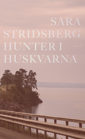 Hunter i Huskvarna (e-bok) av Sara Stridsberg