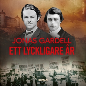 Ett lyckligare år (ljudbok) av Jonas Gardell