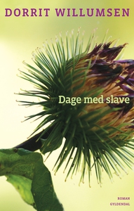 Dage med slave (e-bog) af Dorrit Will