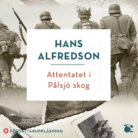 Attentatet i Pålsjö skog (ljudbok) av Hans Alfr