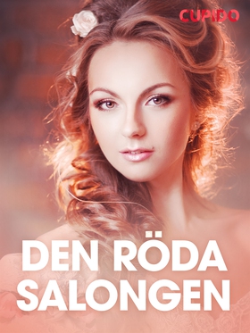 Den röda salongen – erotisk novell (e-bok) av C