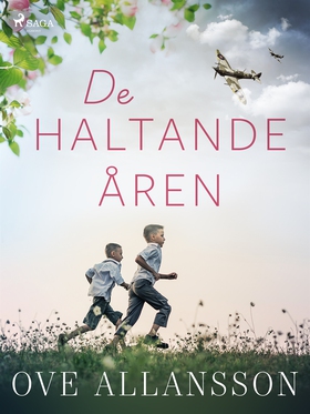 De haltande åren (e-bok) av Ove Allansson