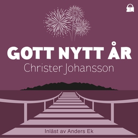 Gott nytt år (ljudbok) av Christer Johansson