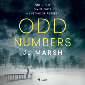 Odd Numbers (ljudbok) av JJ Marsh