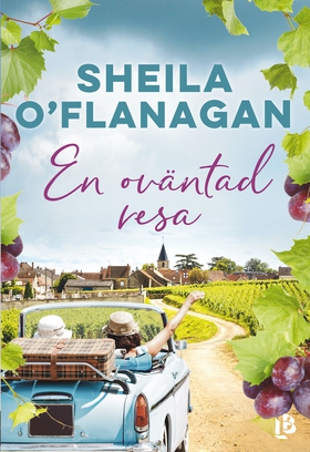 En oväntad resa (e-bok) av Sheila O'Flanagan