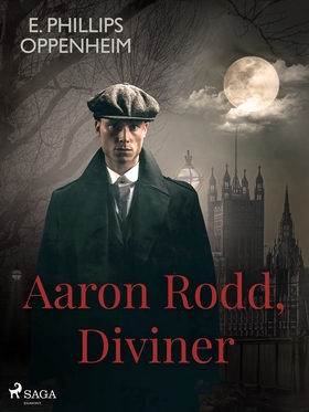 Aaron Rodd, Diviner (e-bok) av Edward Phillips 