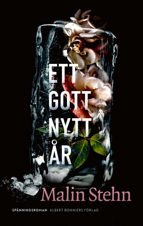 Ett gott nytt år (e-bok) av Malin Stehn