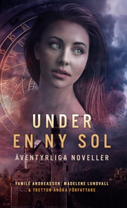 Under en ny sol (e-bok) av Ulrika Häll-Lundgren
