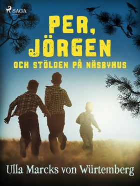 Per, Jörgen och stölden på Näsbyhus (e-bok) av 