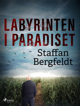 Labyrinten i paradiset (e-bok) av Staffan Bergf