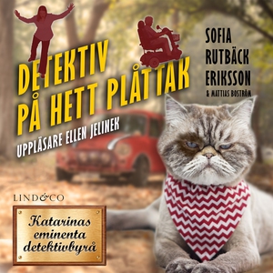 Detektiv på hett plåttak (ljudbok) av Sofia Rut