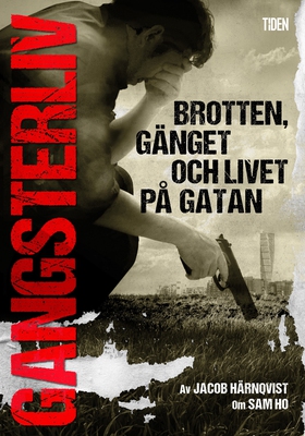Gangsterliv : brotten, gänget och livet på gata