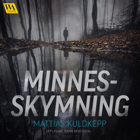 Minnesskymning (ljudbok) av Mattias Kuldkepp