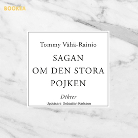 Sagan om den stora pojken (ljudbok) av Tommy Vä