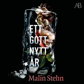 Ett gott nytt år (ljudbok) av Malin Stehn