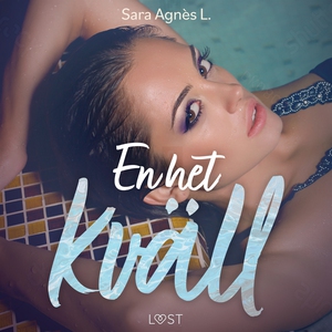 En het kväll - erotisk novell (ljudbok) av Sara