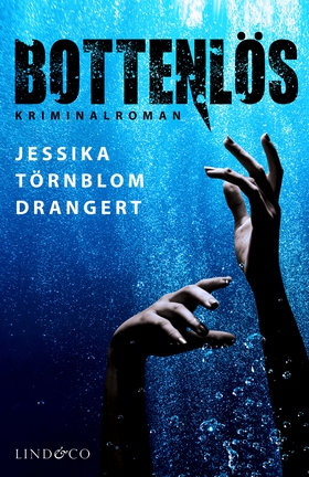 Bottenlös (e-bok) av Jessika Törnblom Drangert