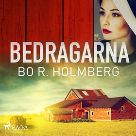 Bedragarna (ljudbok) av Bo R. Holmberg