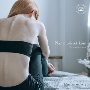 När mörkret kom - en sann berättelse (ljudbok)